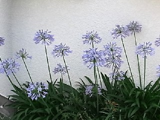 d0051601_22473446.jpg