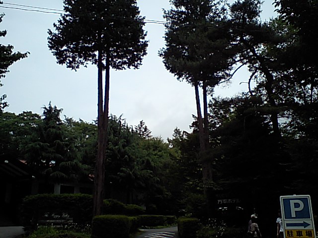 日税研軽井沢合宿_d0054704_00524.jpg