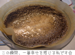 2009.07.05　コーヒー豆当選★_c0153005_1657810.jpg