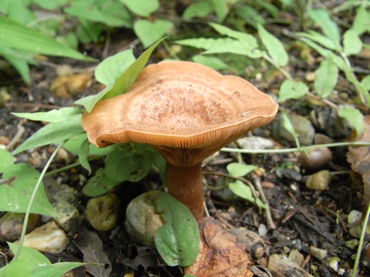 b0137208_20405020.jpg