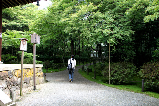 地蔵院（竹の寺）_e0048413_21102397.jpg