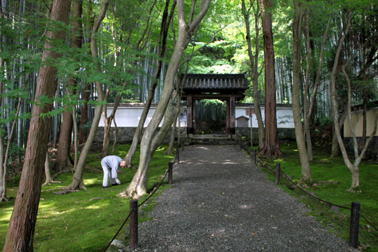 地蔵院（竹の寺）_e0048413_21924100.jpg