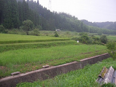 b0181417_2312521.jpg