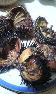c0117621_14411034.jpg