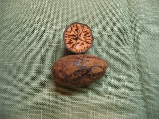 f0203324_15391671.jpg