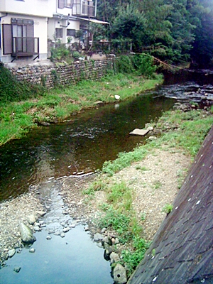 a0034225_17125581.jpg