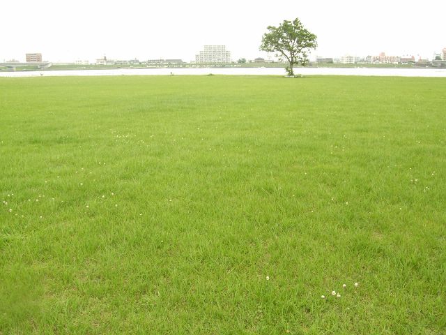 f0035830_21155537.jpg