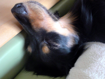 c0117831_2212383.jpg
