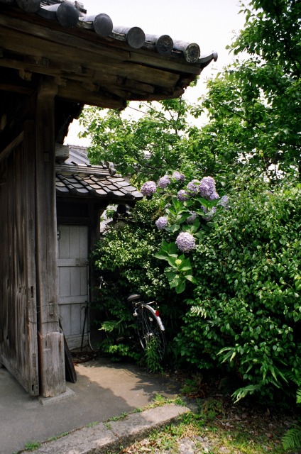 新宮　６月　お昼休みに全龍寺　ペトリFTE　_e0149335_14515777.jpg