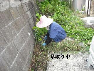 ボリュームたっぷり♪ 暑い、熱い作業です。_f0031037_19132921.jpg