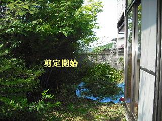 ボリュームたっぷり♪ 暑い、熱い作業です。_f0031037_19134028.jpg
