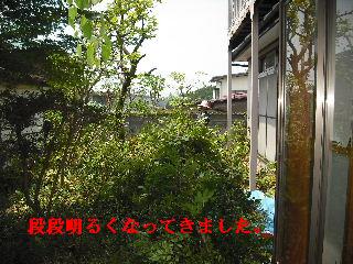 ボリュームたっぷり♪ 暑い、熱い作業です。_f0031037_19142347.jpg