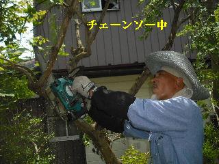 ボリュームたっぷり♪ 暑い、熱い作業です。_f0031037_1915415.jpg