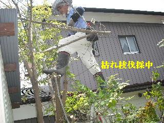 ボリュームたっぷり♪ 暑い、熱い作業です。_f0031037_1916459.jpg