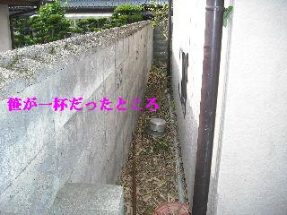 ボリュームたっぷり♪ 暑い、熱い作業です。_f0031037_19175110.jpg