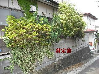 ボリュームたっぷり♪ 暑い、熱い作業です。_f0031037_1994182.jpg