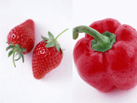 a0094140_2241358.gif