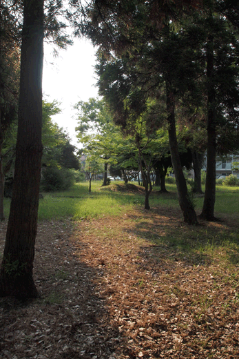 c0093046_6571799.gif