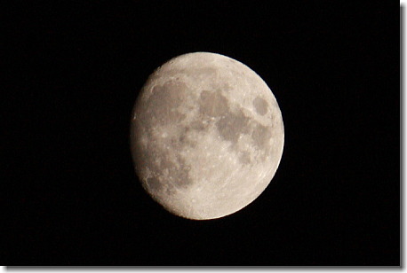 b0066947_10582740.jpg