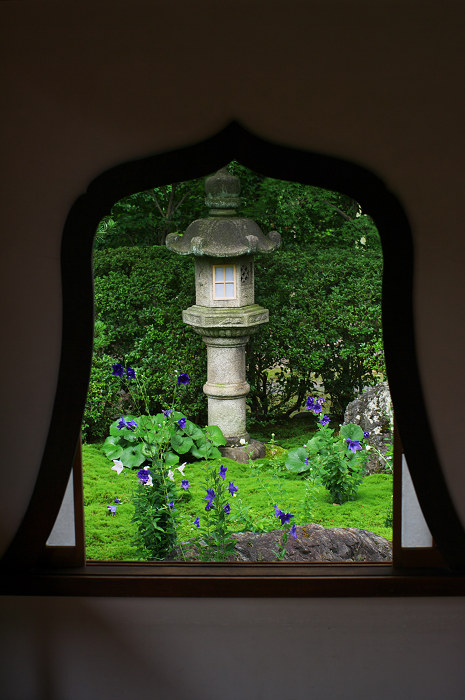 咲き誇る桔梗(東福寺塔頭 天得院)_f0155048_23203026.jpg