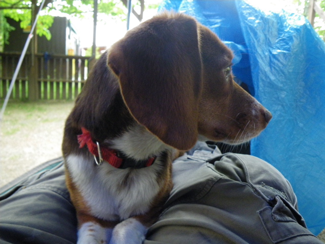 f0046250_0182565.jpg