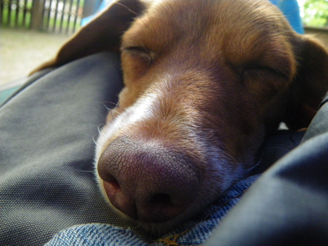 f0046250_020016.jpg