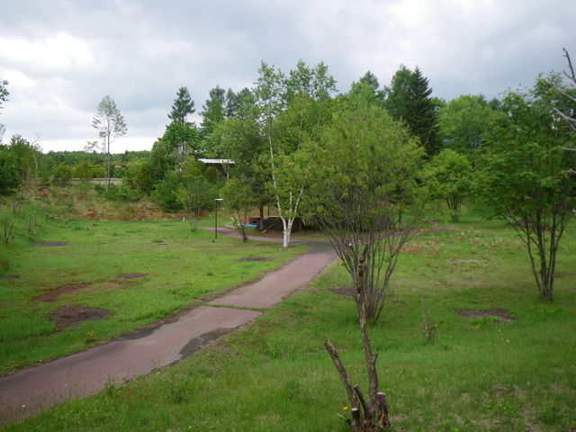 f0046250_119165.jpg