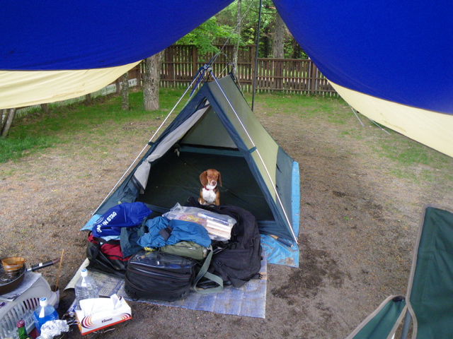 f0046250_147122.jpg