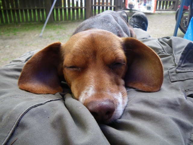 f0046250_15468.jpg