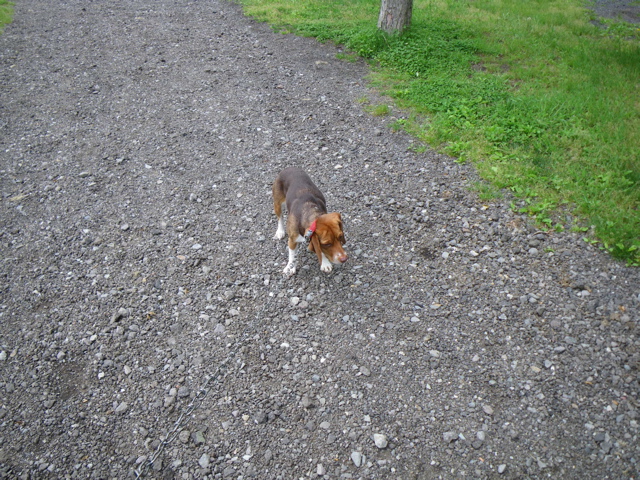 f0046250_16755.jpg