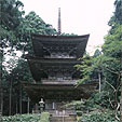 c0084954_113892.jpg