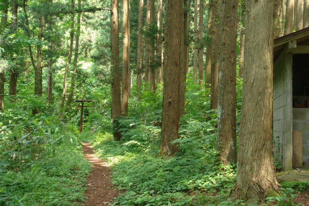 太平山 中岳 木曽石コース 山行 - 秋田県秋田市_f0137955_2120530.jpg