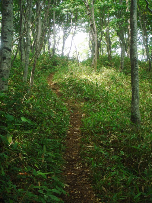 太平山 中岳 木曽石コース 山行 - 秋田県秋田市_f0137955_21233431.jpg