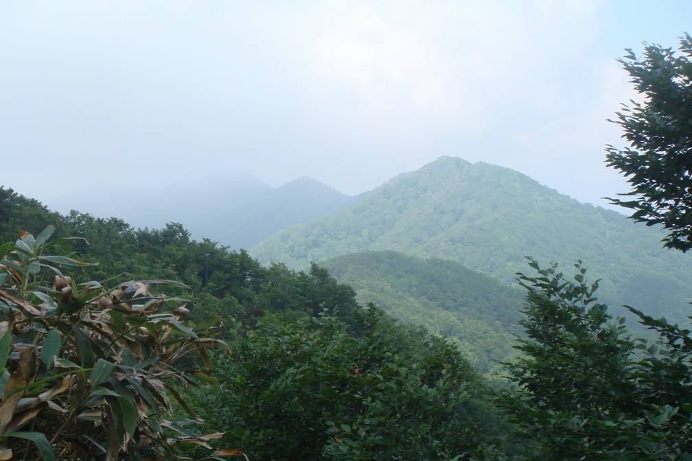 太平山 中岳 木曽石コース 山行 - 秋田県秋田市_f0137955_21435998.jpg