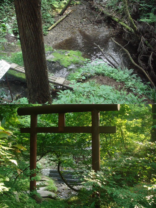 太平山 中岳 木曽石コース 山行 - 秋田県秋田市_f0137955_2265616.jpg