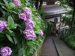 c0047860_2122342.jpg