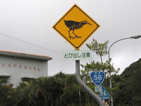 c0180460_2058239.jpg