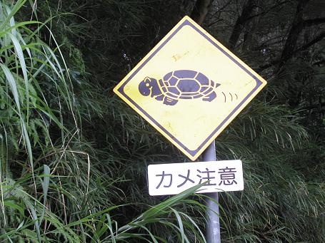 c0180460_2058538.jpg