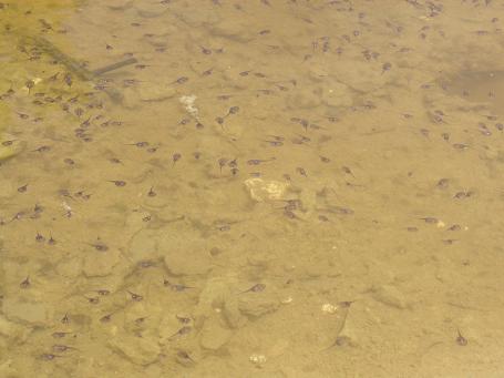 c0180460_2101739.jpg