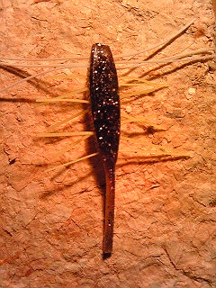 b0146366_1726189.jpg