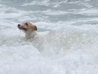 今日も思いっきり、海〜♪_f0045872_110617.jpg