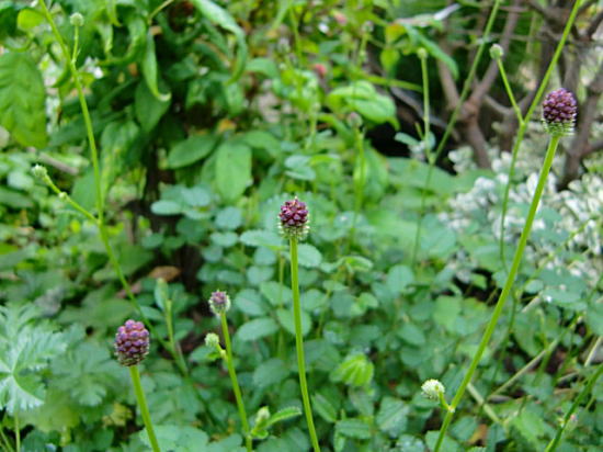 f0059473_18292233.jpg