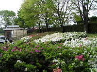 b0004675_11304168.jpg