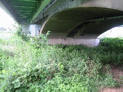 信夫橋5～名橋｢メガネ橋｣④_a0087378_458262.jpg