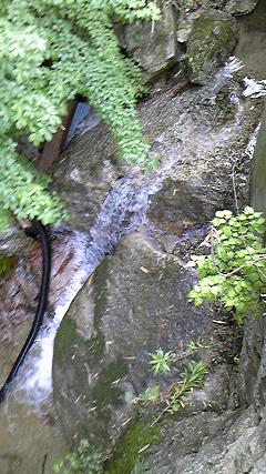 a0095980_182681.jpg
