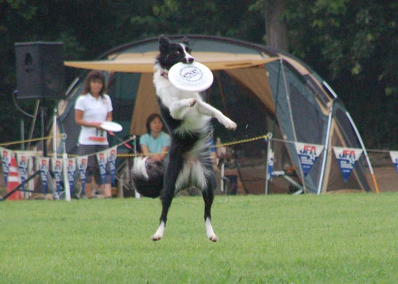 f0094391_20554543.jpg