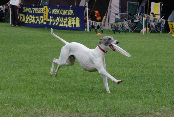 f0094391_21211468.jpg