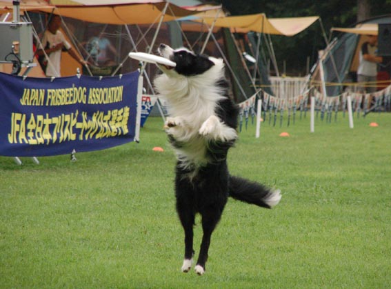 f0094391_216046.jpg