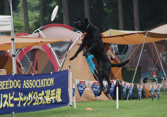 f0094391_2185954.jpg