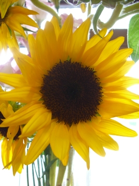 a0045293_1884124.jpg